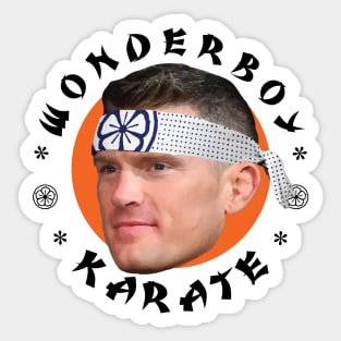 Stephen Thompson Wonderboy Karate Sticker